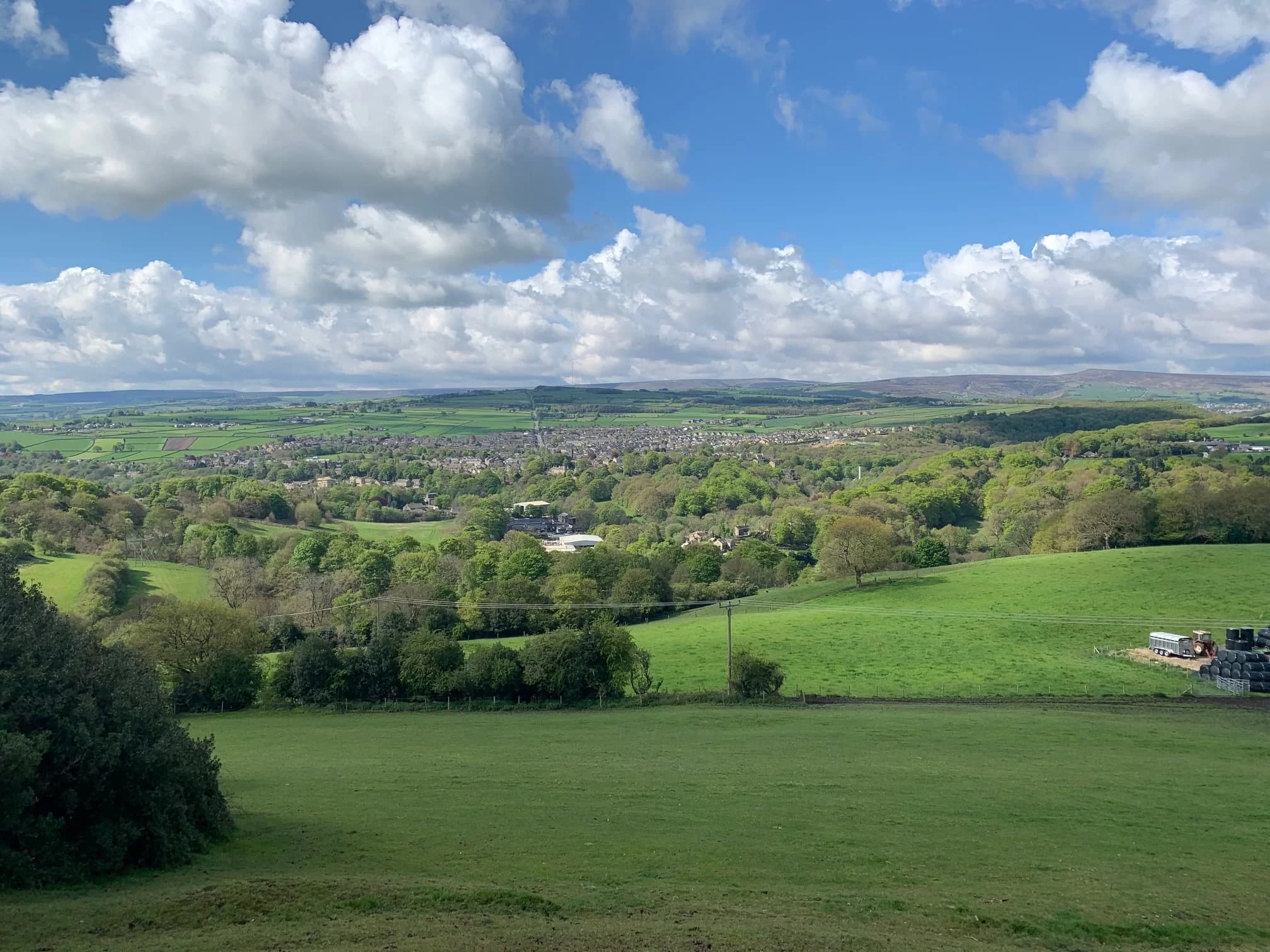 Image in grid number 5